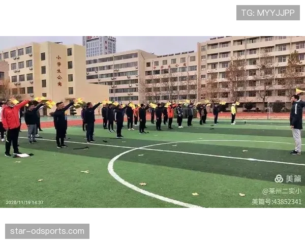 裁判哨音在足球比赛中判罚流程的重要作用与标准解析